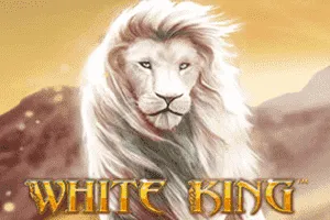 Playtech : White King - JFGAMING