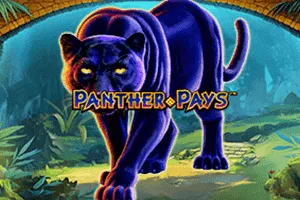 Playtech : Panther Pays - JFGAMING
