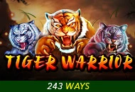 Spadegaming : Tiger Warrior - JFGAMING