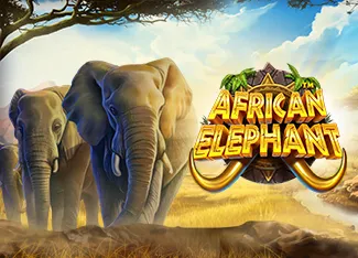 Pragmatic : African Elephant - JFGAMING